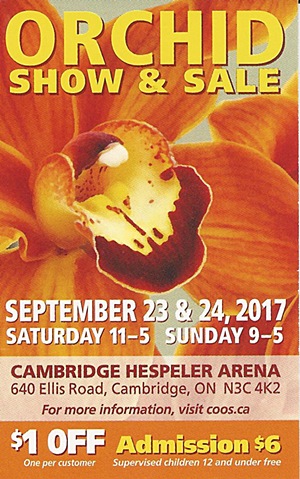 COOS Orchid Show & Sale @ Cambridge Hespeler Arena | Cambridge | Ontario | Canada