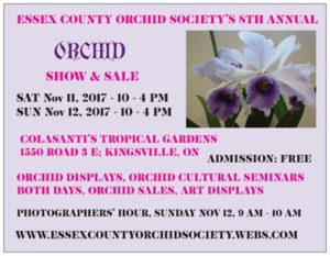 Essex County Orchid Show @ Colasanti's  | Kingsville | Ontario | Canada