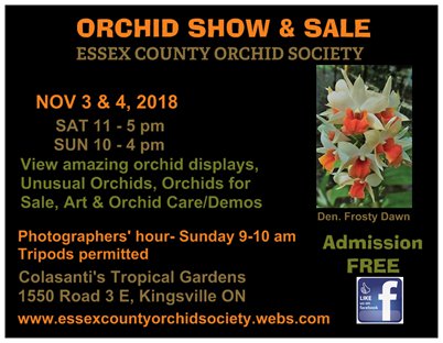 2018 Essex County Orchid Society Show & Sale @ Colasanti's Tropical Gardens | Kingsville | Ontario | Canada