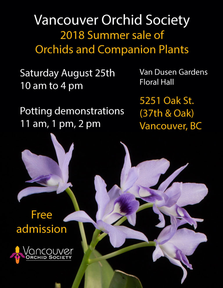 Vancouver Orchid Society 2018 Summer Sale of Orchids and Companion Plants @ Van Dusen Gardens Floral Hall | Vancouver | British Columbia | Canada