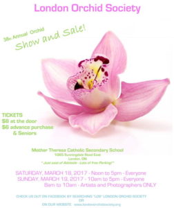 London Orchid Society Show & Sale @ Mother Teresa Secondary Catholic School | London | Ontario | Canada