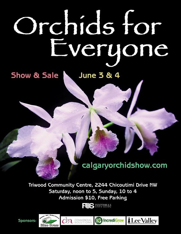 Calgary Orchid Show Orchids for Everyone The Canadian Orchid Congress