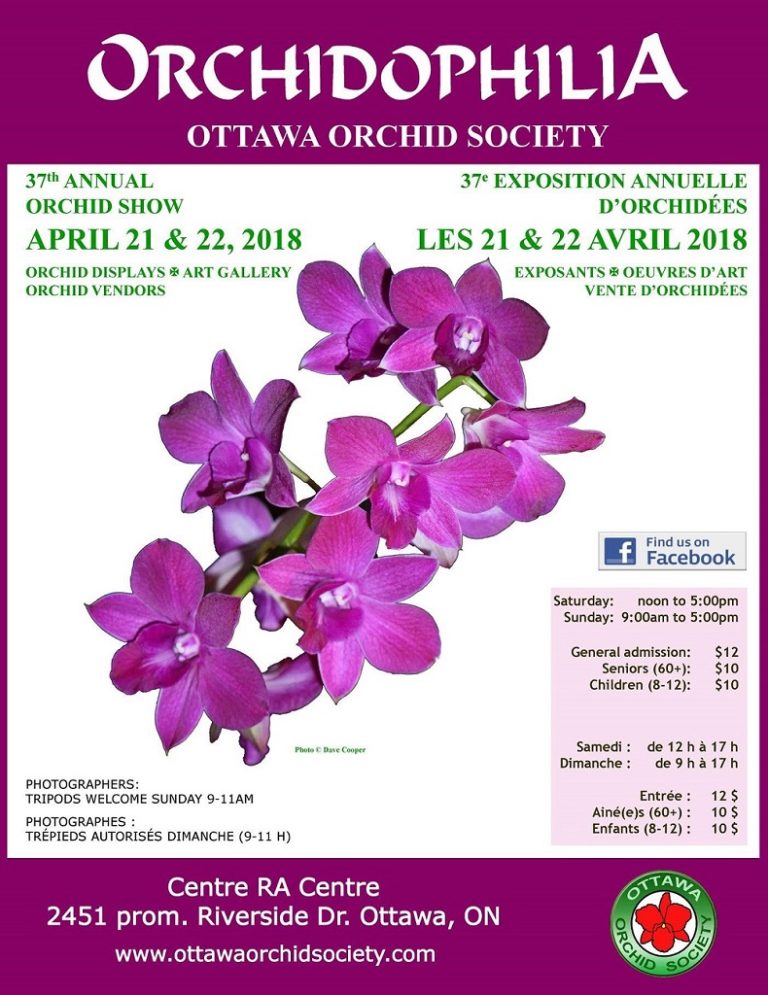 Ottawa Orchid Society Orchidophilia 37th Annual Orchid Show The