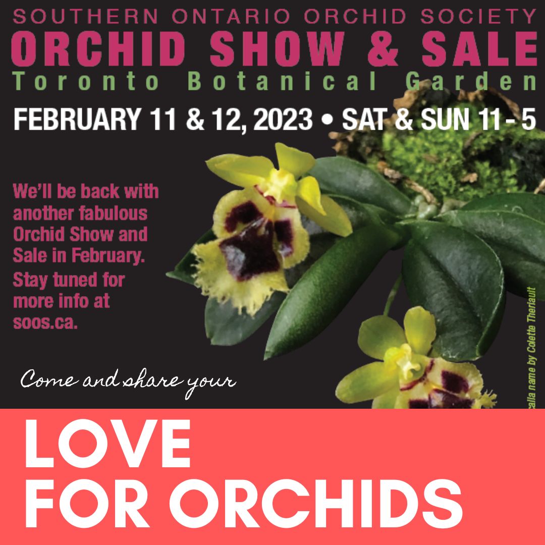 Orchid Show February