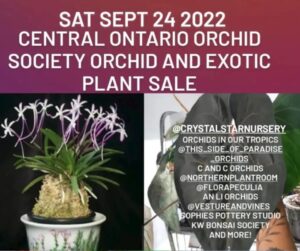 ORCHID AND EXOTIC PLANT SALE @ ST Joseph's Church Basement
